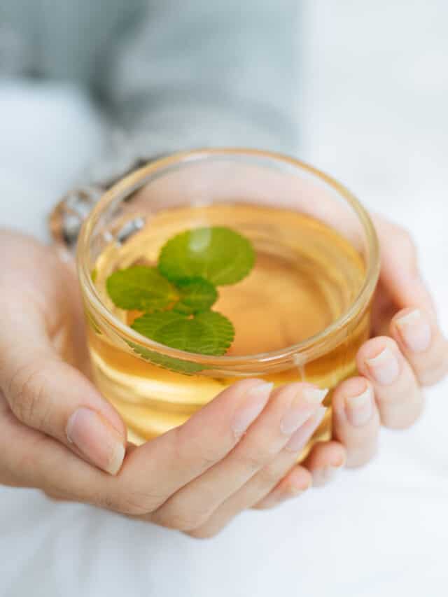 Green To White 6 Natural Teas That Promotes Weight Loss In Winter
