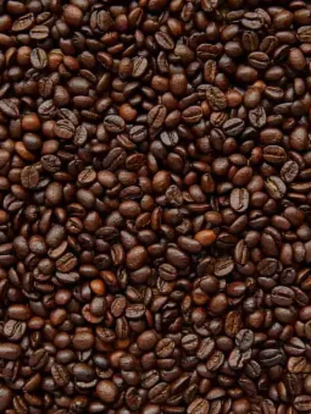 Arabica Vs. Robusta Coffee Beans Exploring The 5 Key Differences