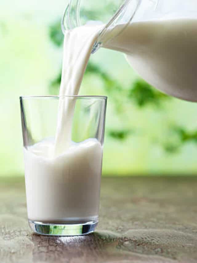 Whole Milk Vs. Skimmed Milk 5 Key Differences You Should Know