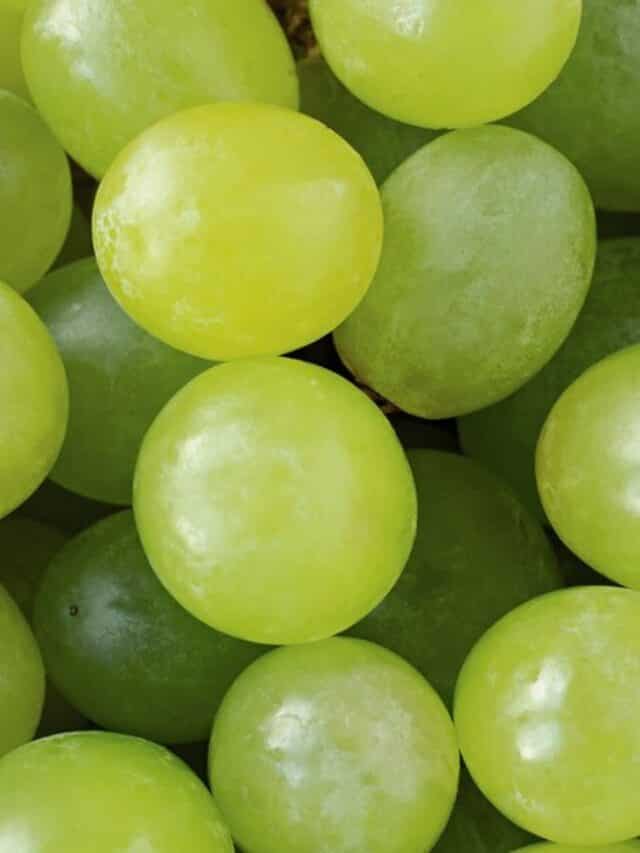 Unveiling The Benefits Of Eating Green Grapes For Skin