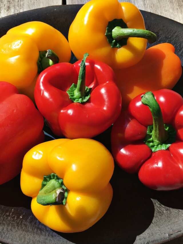 7 Hacks To Keep Bell Pepper Fresh For Longer