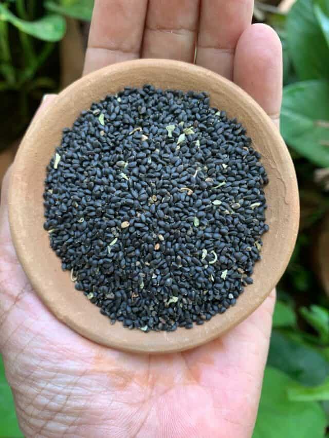 5 Ways To Consume Basil Seeds Every Day
