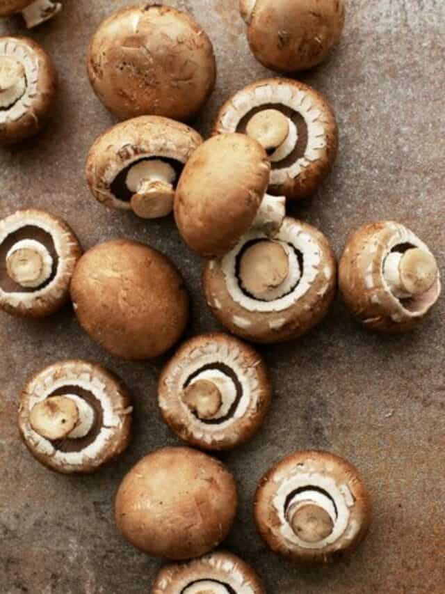 5 Steps To Grow Mushrooms At Home